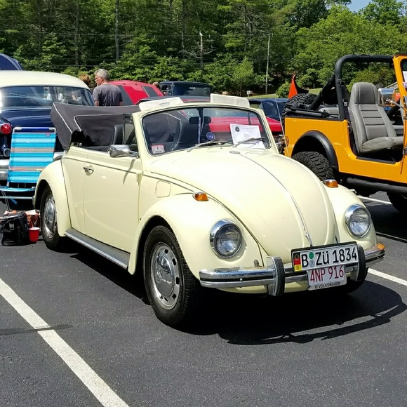 Meet your Posher, Lisa - Picture 1 of 7